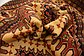 6' 7 x 10' Kazak Oriental Rug thumbnail image 9