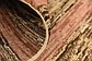 7' 10 x 10' 4 Modern Ziegler Rug thumbnail image 8
