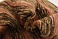 7' 10 x 10' 4 Modern Ziegler Rug thumbnail image 9