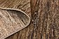 HandKnotted 5' x 6' 10 Modern Ziegler Rug thumbnail image 8