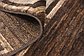 HandKnotted 8' 3 x 9' 10 Modern Ziegler Rug thumbnail image 8