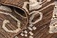 8' x 9' 9 Modern Ziegler Rug thumbnail image 8