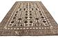 6' 10 x 9' 10 Khotan Ziegler Oriental Rug thumbnail