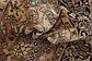 6' 5 x 9' 9 Kashmir Oriental Rug thumbnail image 8