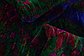 5' 8 x 7' 10 Sari Rug thumbnail image 8