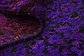 8' 2 x 9' 8 Sari Rug thumbnail image 7