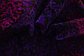 8' 2 x 9' 8 Sari Rug thumbnail image 8