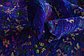 8' x 9' 9 Sari Rug thumbnail image 8