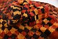 HandKnotted 4' 5 x 8' 6 Moroccan Rug thumbnail image 9