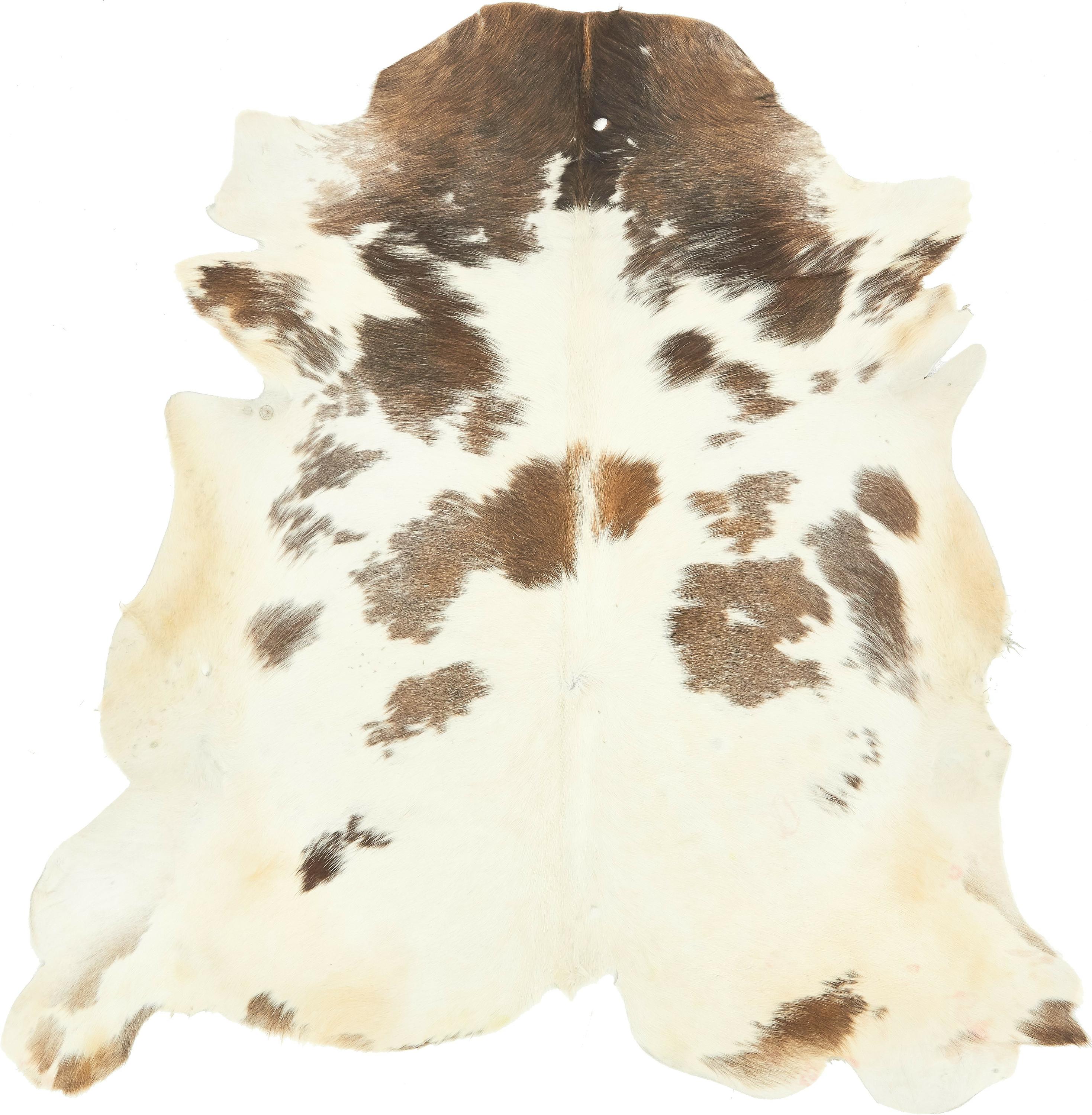 Cream 4' 11 x 5' Cowhide Rug eSaleRugs