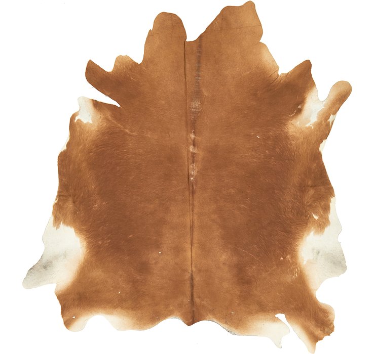 5' 1 x 5' 8 Cowhide Rug
