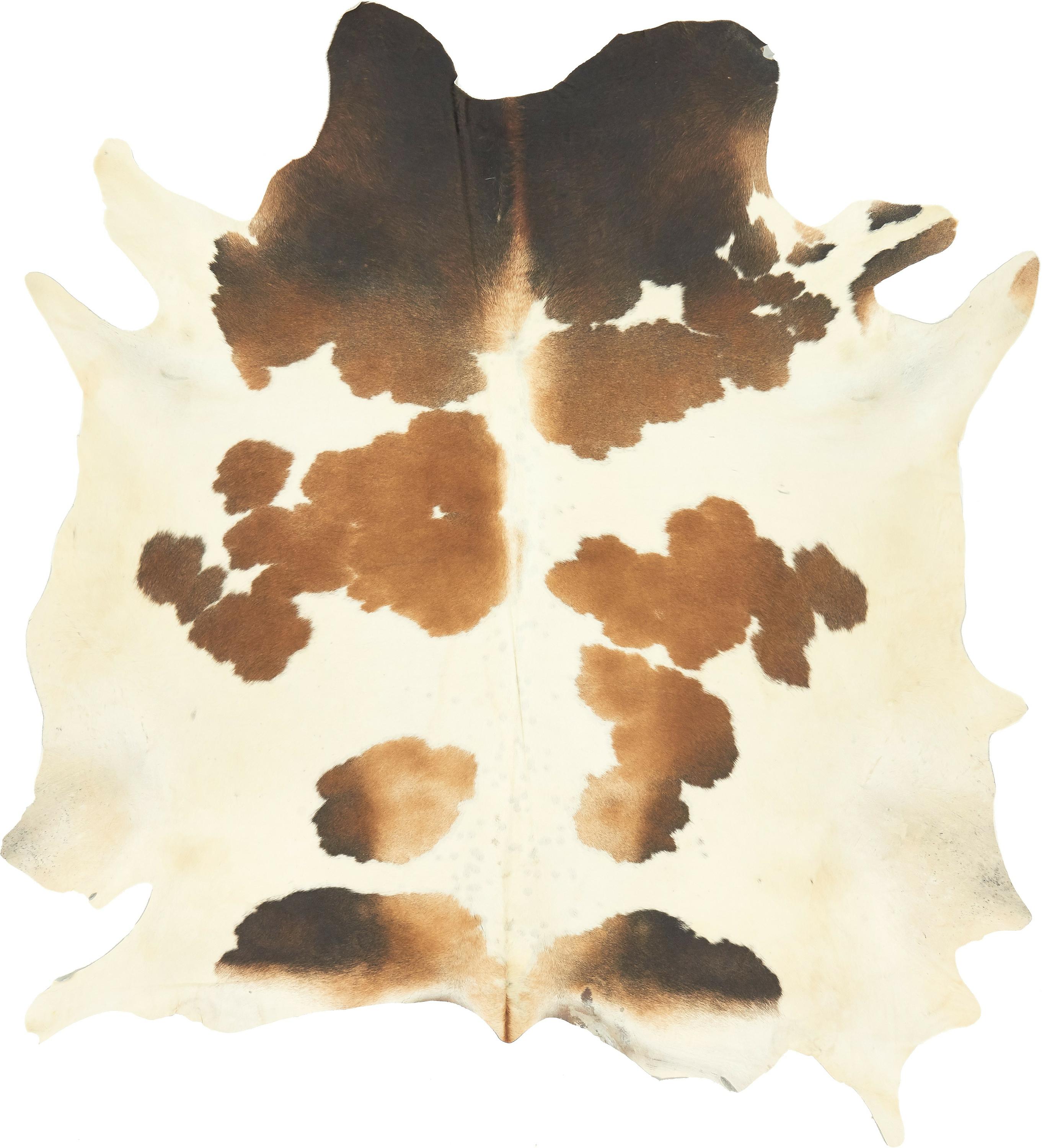 Cream 4' 11 x 5' Cowhide Rug eSaleRugs