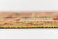 4' 10 x 6' 10 Kilim Maymana Rug thumbnail