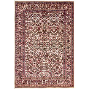 7' 6 x 10' 10 Birjand Persian Rug