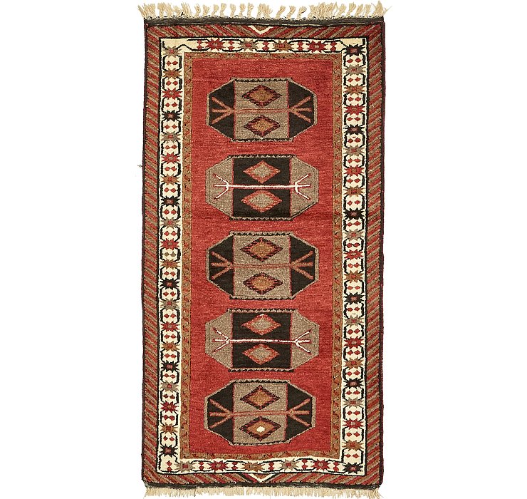 3' 3 x 6' 10 Kars Oriental Rug
