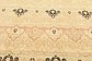 8' x 10' Peshawar Ziegler Oriental Rug thumbnail image 4