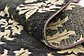 5' x 6' 4 Peshawar Ziegler Oriental Rug thumbnail image 8