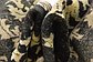 5' x 6' 4 Peshawar Ziegler Oriental Rug thumbnail image 9