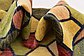 4' 10 x 5' 6 Modern Ziegler Oriental Rug thumbnail image 9