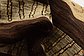 2' 8 x 4' 3 Modern Ziegler Rug thumbnail image 10