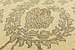 HandKnotted 9' x 12' Peshawar Ziegler Rug thumbnail image 5