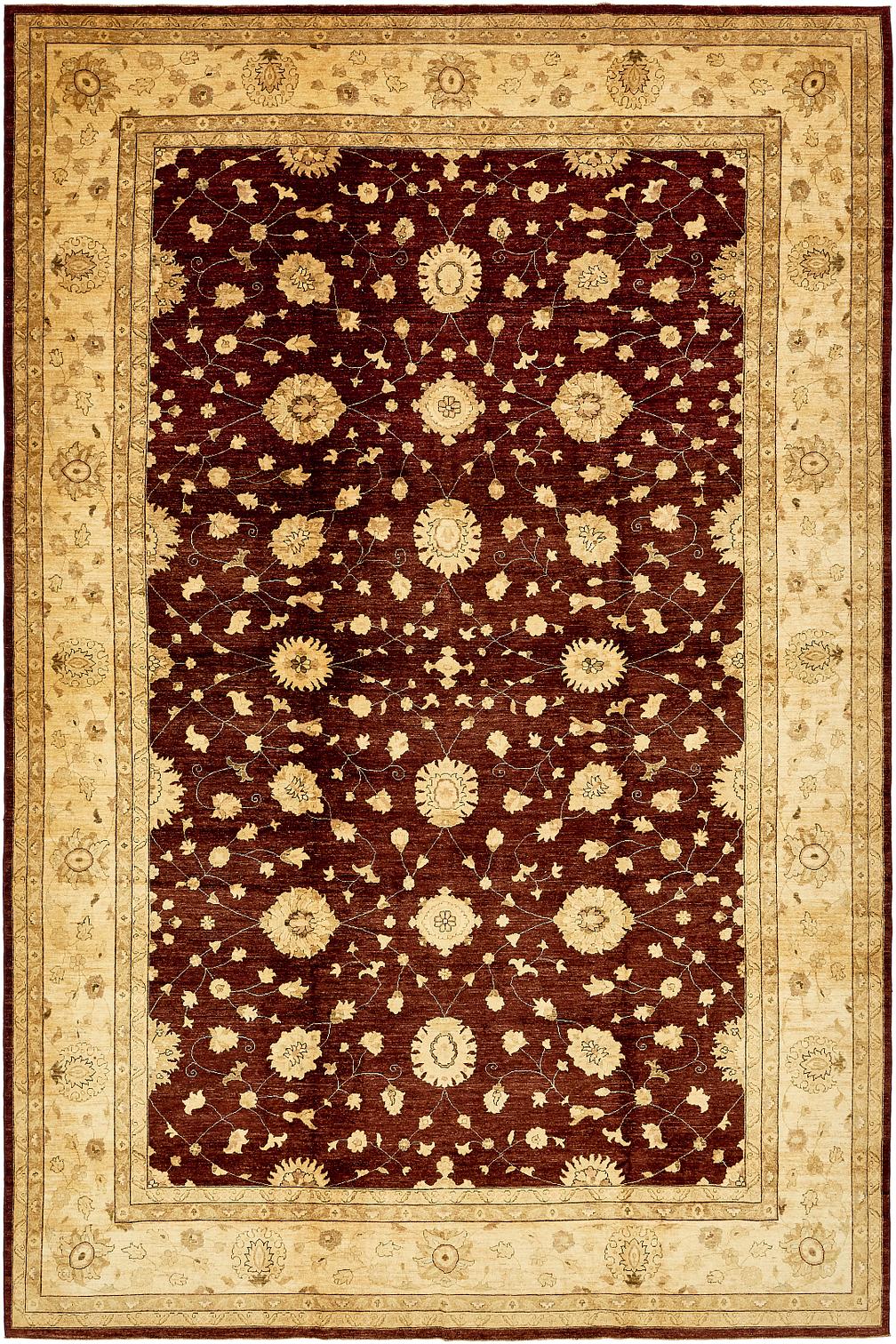 Burdy Handknotted 11 10 X 18 Peshawar Ziegler Rug Oriental