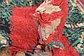 3' 8 x 6' 5 Moroccan Rug thumbnail image 10