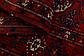 2' 9 x 10' 2 Torkaman Oriental Runner Rug thumbnail