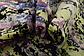 7' 7 x 10' Darya Rug thumbnail