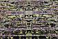 7' 7 x 10' Darya Rug thumbnail