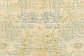 7' 7 x 10' Darya Rug thumbnail image 5