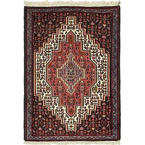 2' 4 x 3' 2 Bidjar Persian Rug