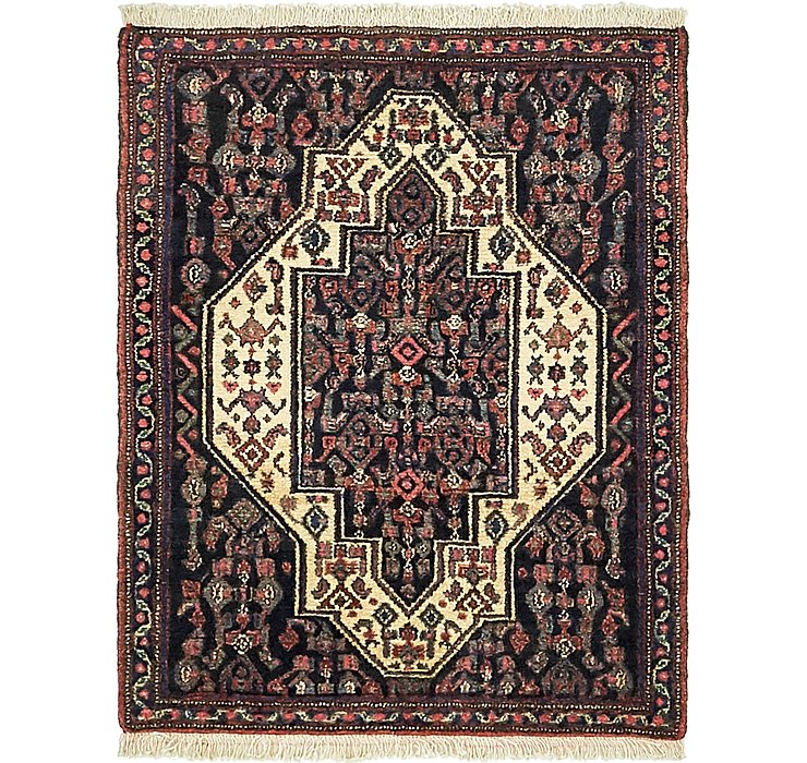 2' 5 x 3' 2 Bidjar Oriental Rug