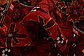 3' 9 x 6' 8 Afghan Ersari Rug thumbnail image 9
