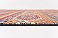 6' x 8' Ariana Ziegler Oriental Rug thumbnail image 9