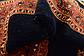 3' 9 x 6' 5 Ghashghaei Persian Rug thumbnail