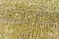 9' 2 x 12' 8 Ultra Vintage Persian Rug thumbnail image 6