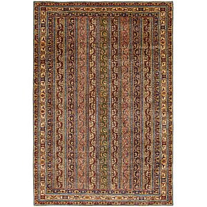 5' 10 x 8' 7 Ariana Ziegler Rug