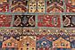 9' x 12' Ariana Ziegler Rug thumbnail