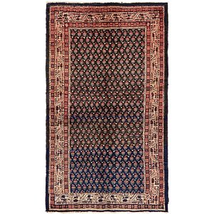 3' 9 x 6' 3 Botemir Persian Rug