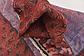 3' x 5' 7 Ferdos Persian Rug thumbnail