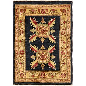 1' 10 x 2' 9 Ariana Ziegler Rug