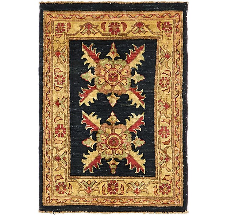 HandKnotted 1' 10 x 2' 9 Ariana Ziegler Rug