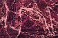 3' 5 x 5' Ultra Vintage Persian Rug thumbnail image 4