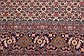 8' 2 x 10' 10 Bidjar Persian Rug thumbnail image 5