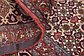 8' 2 x 10' 10 Bidjar Persian Rug thumbnail image 9