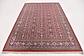 5' 6 x 7' 10 Bidjar Rug thumbnail
