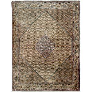 8' 6 x 11' 2 Bidjar Persian Rug