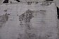 6' 5 x 9' 5 Ultra Vintage Persian Rug thumbnail image 10