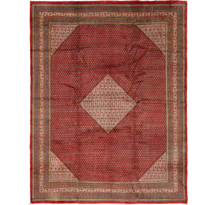 9' 9 x 12' 8 Botemir Persian Rug